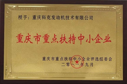 重點扶持企業(yè)