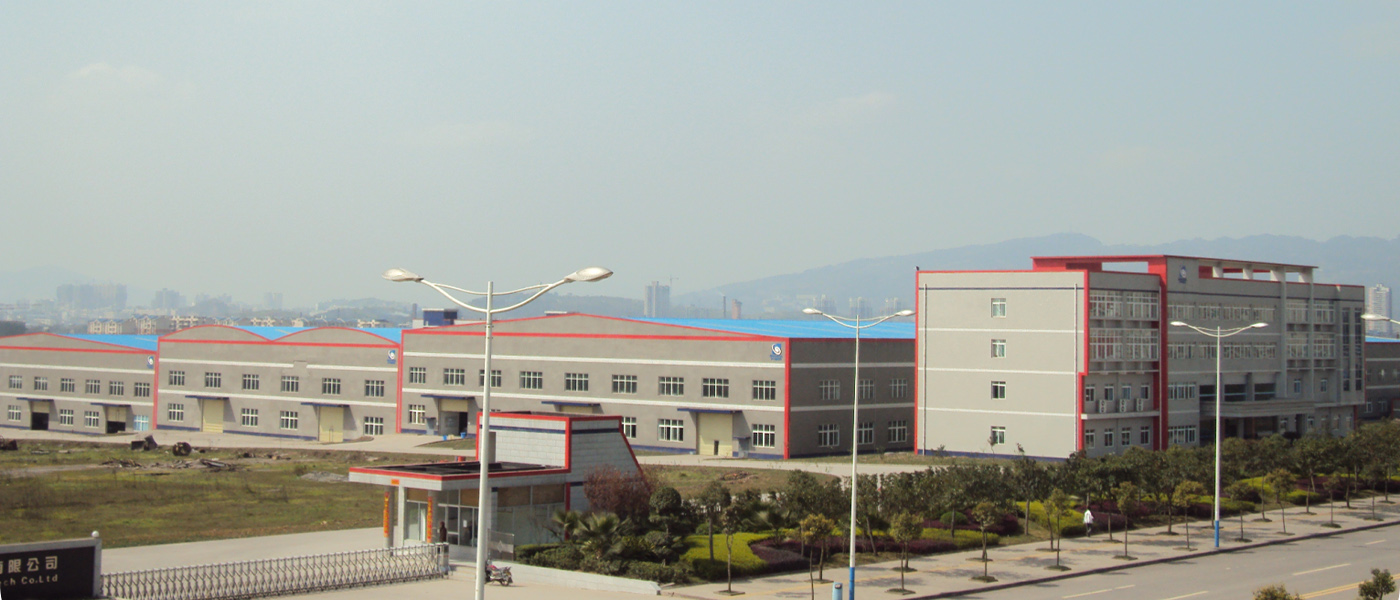 2006